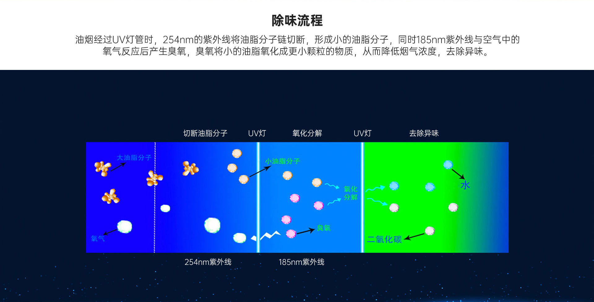 详情页1_06.jpg